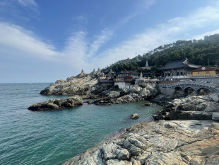 Busan highlight small group tour