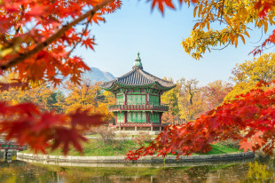 Tailored Private Tours in Seoul